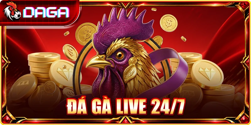 Đá gà live 24-7