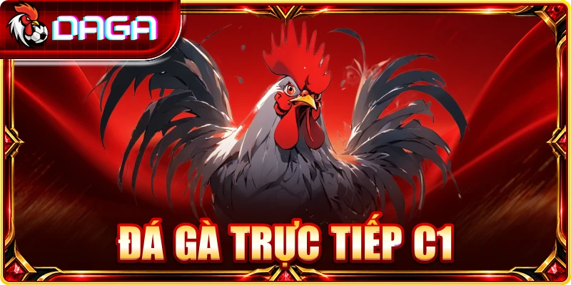 Đá gà trực tiếp C1