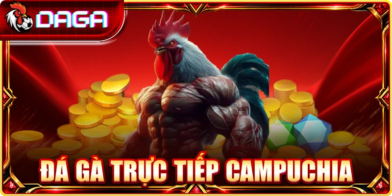 Đá gà trực tiếp Campuchia