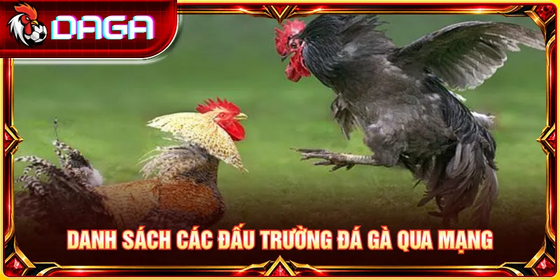 Danh sách các đấu trường đá gà qua mạng nổi bật cùng đặc điểm thi đấu của từng sới