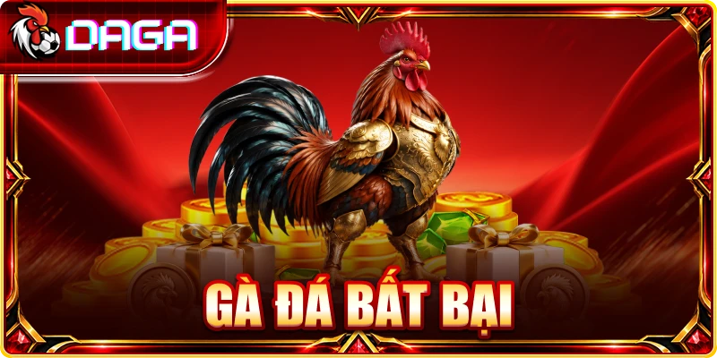 Gà đá bất bại