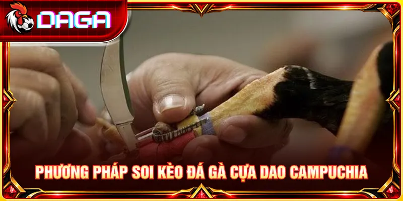 Phân tích tỷ lệ kèo và nhận diện rủi ro khi theo dõi đá gà cựa dao Campuchia.