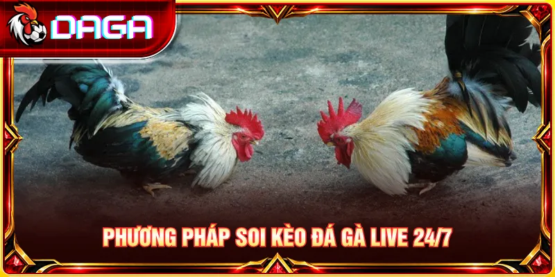 Theo dõi diễn biến trực tiếp và phân tích thông tin trận đấu để nhận diện rủi ro.