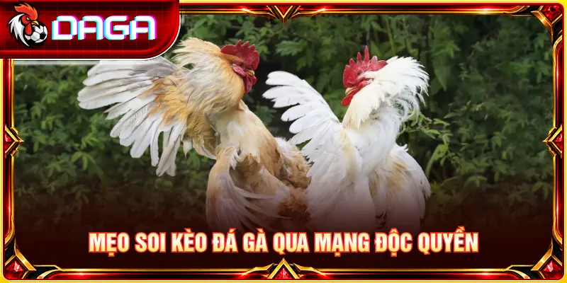 Tìm hiểu cách phân tích diễn biến trận đấu và đánh giá rủi ro khi theo dõi đá gà trực tuyến