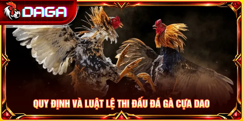 Tìm hiểu quy định và luật thi đấu đá gà cựa dao tại các trường gà Campuchia.