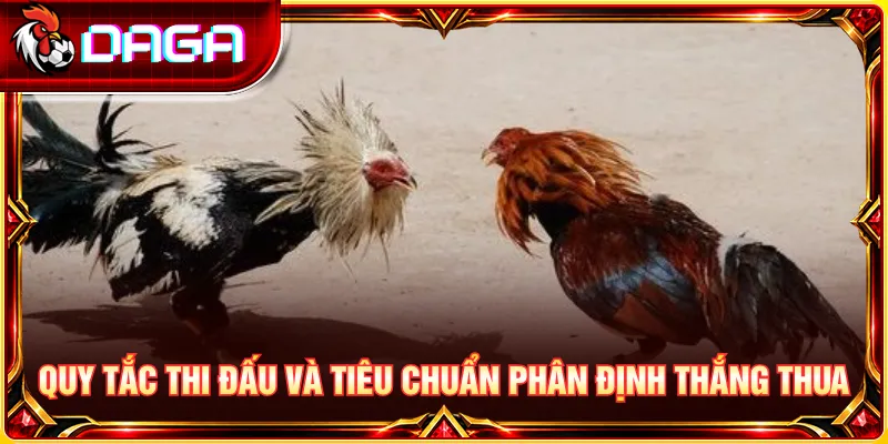 Tìm hiểu quy tắc thi đấu và tiêu chí phân định thắng thua tại sới CPC3.
