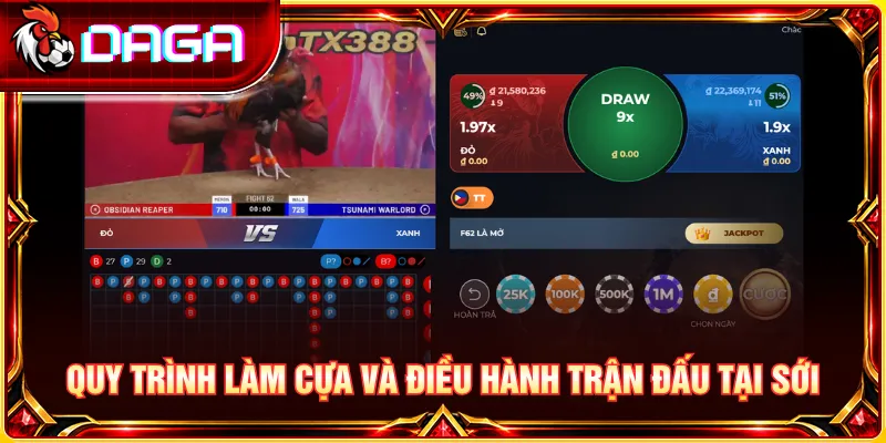 Tìm hiểu quy trình chuẩn bị cựa và cách điều hành trận đấu tại sới gà.