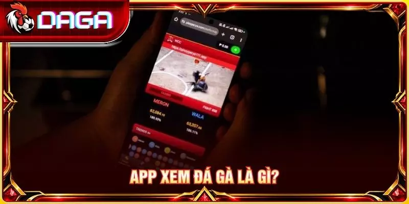 App Xem Đá Gà Là Gì? Những Điều Người Dùng Cần Biết App xem đá gà là gì?