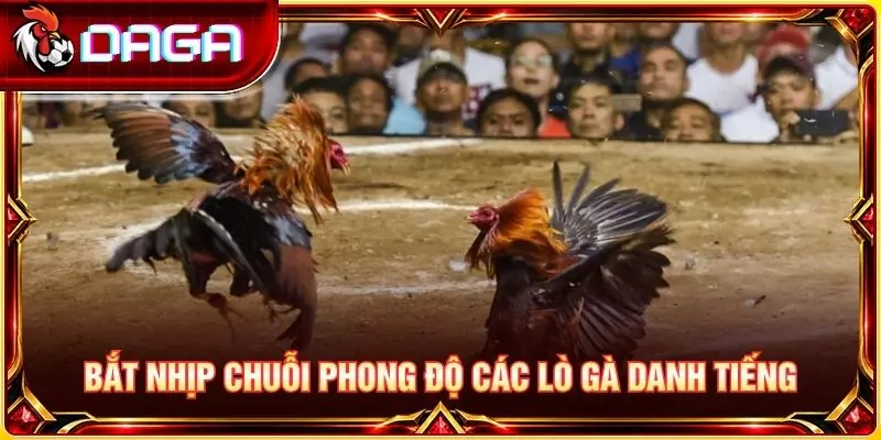 Bắt nhịp chuỗi phong độ các lò gà danh tiếng