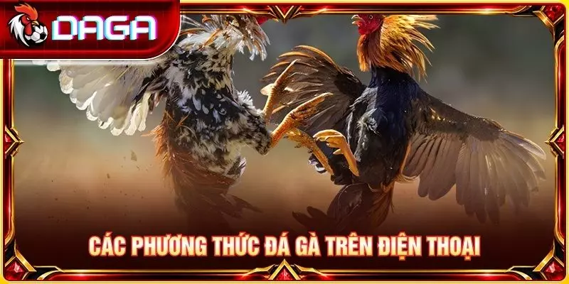 Đá Gà Trên Điện Thoại - Cách Theo Dõi Và Lưu Ý Quan Trọng Các phương thức đá gà trên điện thoại