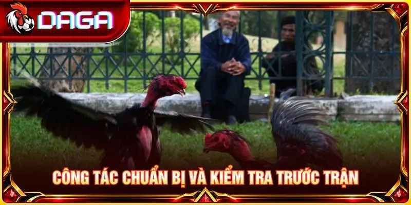 Giải Đáp Các Thắc Mắc Phổ Biến Về Đá Gà Đòn Cho Người Mới Công tác chuẩn bị và kiểm tra trước trận