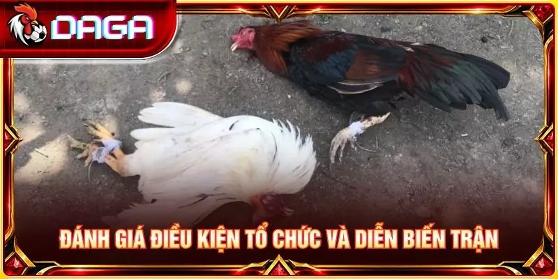 Đánh giá điều kiện tổ chức và diễn biến trận