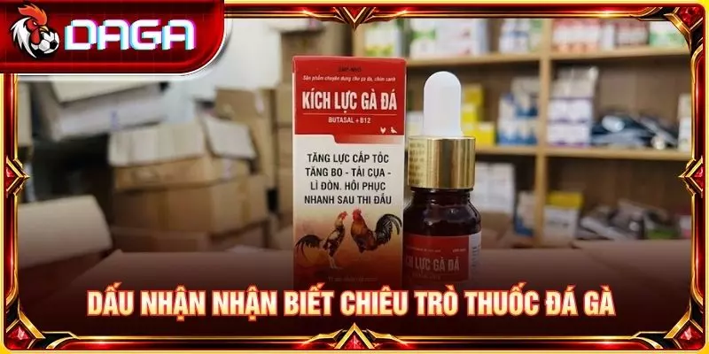 Dấu nhận nhận biết chiêu trò thuốc đá gà 