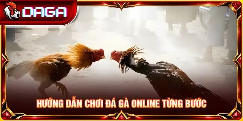Hướng dẫn chơi đá gà online từng bước