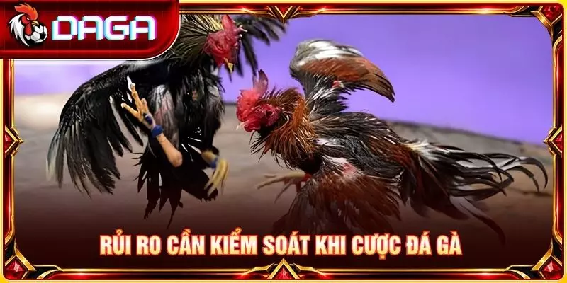 Rủi ro cần kiểm soát khi cược đá gà 