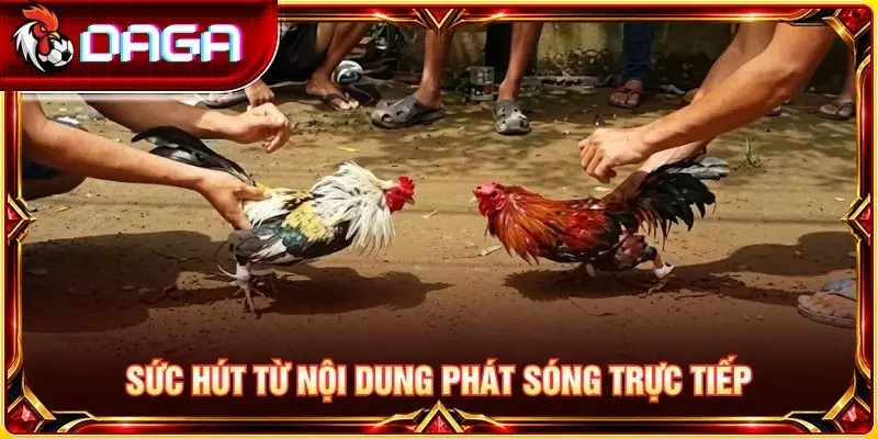 Sức hút từ nội dung phát sóng trực tiếp