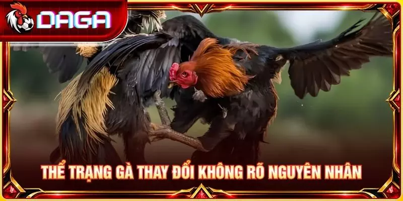 Thể trạng gà thay đổi không rõ nguyên nhân