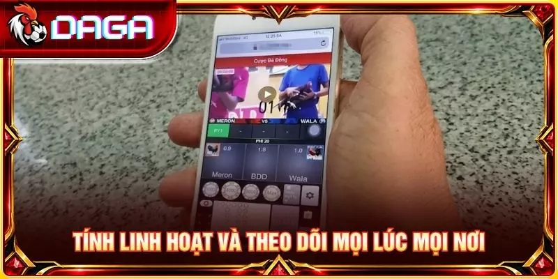 Đá Gà Trên Điện Thoại - Cách Theo Dõi Và Lưu Ý Quan Trọng Tính linh hoạt và theo dõi mọi lúc mọi nơi