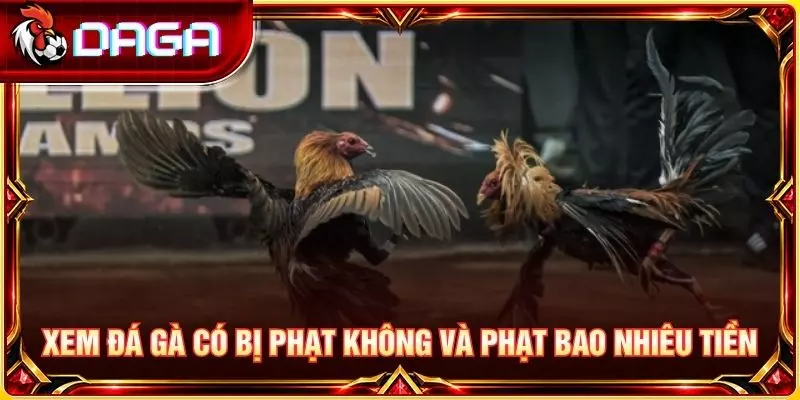 Xem Đá Gà Có Bị Phạt Không? Quy Định Pháp Luật Cần Biết Xem đá gà có bị phạt không và phạt bao nhiêu tiền