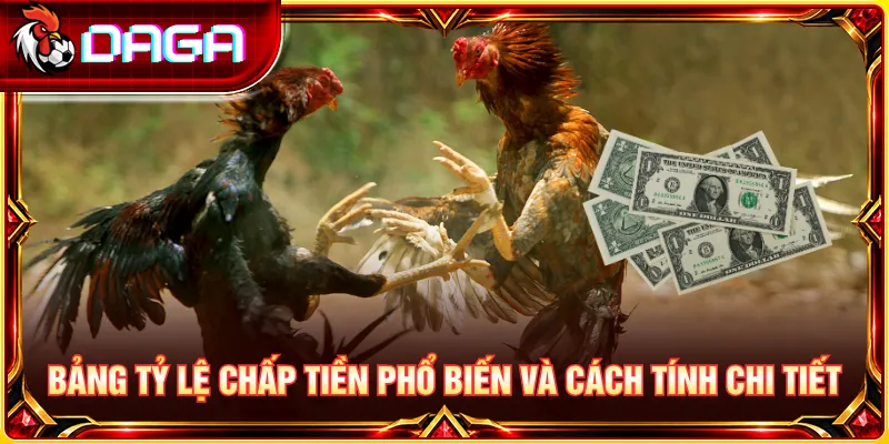 Bảng tỷ lệ chấp tiền gà chọi phổ biến cùng cách tính cụ thể.