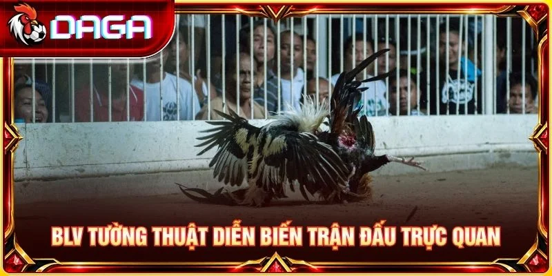 BLV tường thuật diễn biến trận đấu trực quan