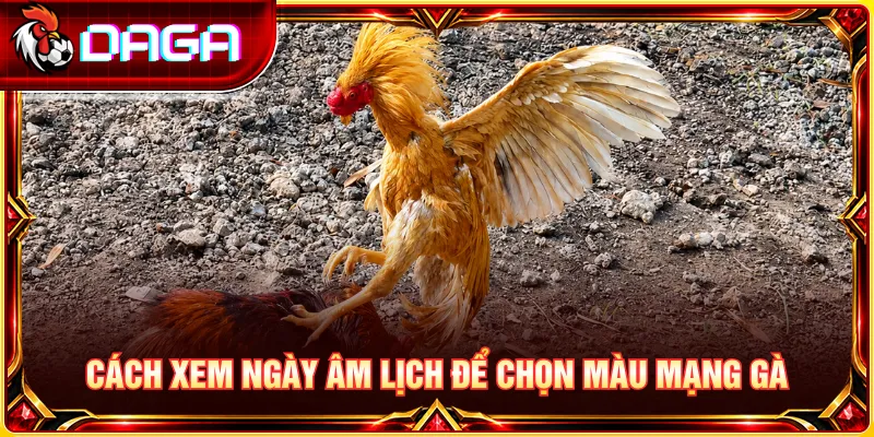 Cách tra cứu ngày âm lịch và đối chiếu màu mạng theo ngũ hành.