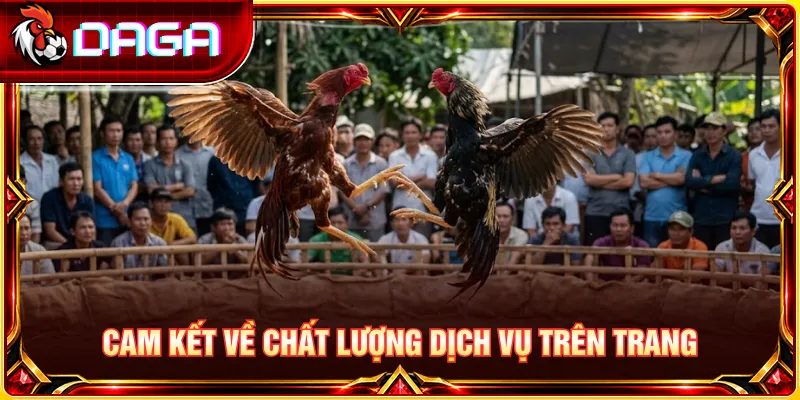 Cam kết duy trì chất lượng nội dung, tính ổn định và hỗ trợ người dùng.