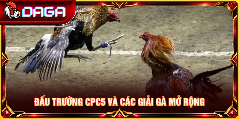 CPC5 cùng các giải mở rộng mang đến thêm lựa chọn theo dõi các trận đấu.