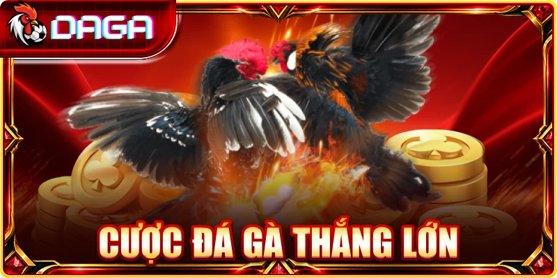 Cược đá gà thắng lớn