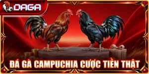 đá gà campuchia cược tiền thật