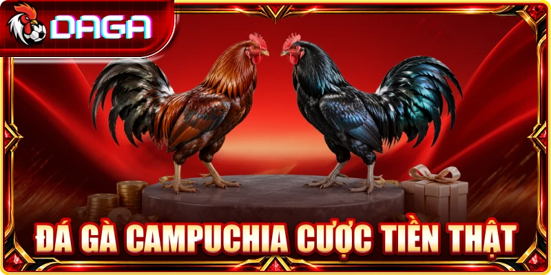 đá gà campuchia cược tiền thật
