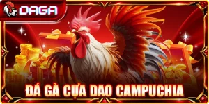 Đá gà cựa dao Campuchia