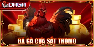 Đá gà cựa sắt Thomo