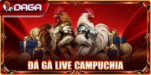 Đá Gà Live Campuchia: Góc Nhìn Về Hình Thức Phát Trực Tiếp