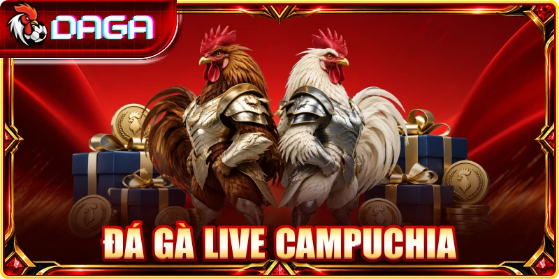 Đá Gà Live Campuchia: Góc Nhìn Về Hình Thức Phát Trực Tiếp