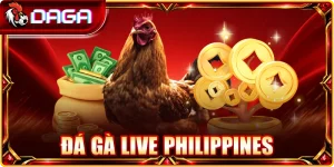 Đá Gà Live Philippines: Góc Nhìn Thực Tế Khi Theo Dõi
