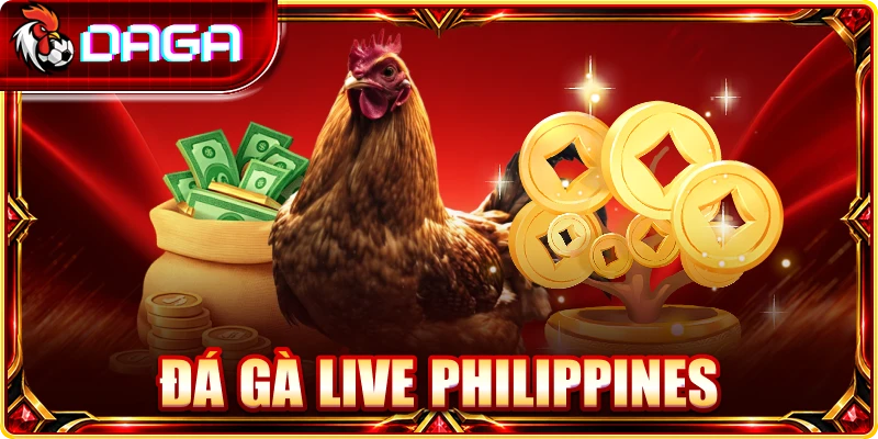 Đá Gà Live Philippines: Góc Nhìn Thực Tế Khi Theo Dõi Đá Gà Live Philippines: Góc Nhìn Thực Tế Khi Theo Dõi