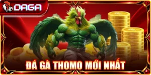Đá Gà Thomo Mới Nhất: Lịch Đấu Và Diễn Biến Hôm Nay