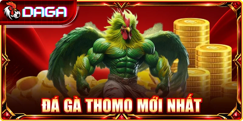 Đá Gà Thomo Mới Nhất: Lịch Đấu Và Diễn Biến Hôm Nay