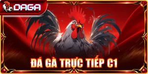 Đá gà trực tiếp C1
