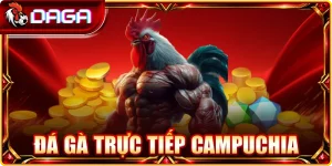 Đá gà trực tiếp Campuchia