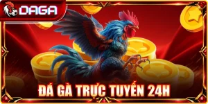 Đá Gà Trực Tuyến 24h: Kinh Nghiệm Theo Dõi Hiệu Quả