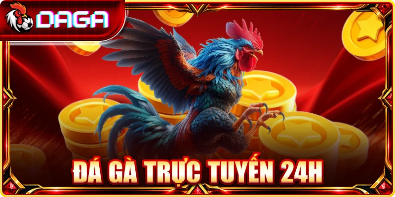 Đá Gà Trực Tuyến 24h: Kinh Nghiệm Theo Dõi Hiệu Quả