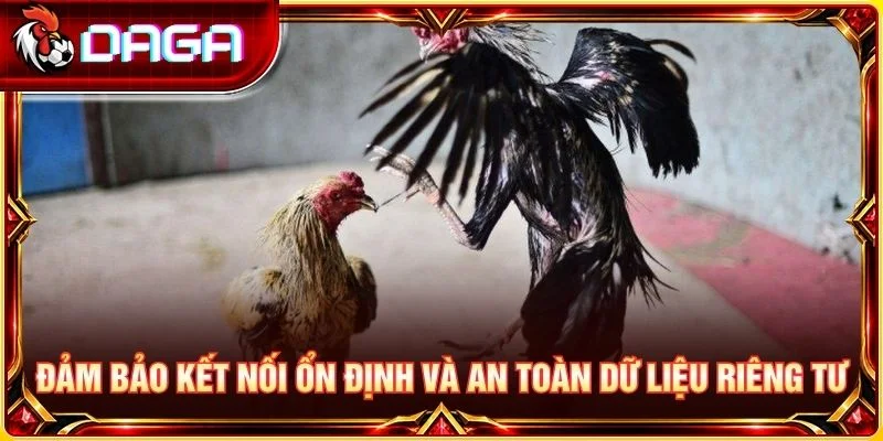 Đảm bảo kết nối ổn định và an toàn dữ liệu riêng tư