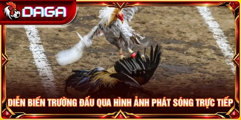 Diễn biến trường đấu qua hình ảnh phát sóng trực tiếp