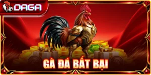 Gà đá bất bại