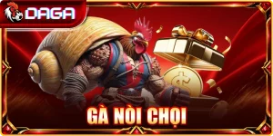 Gà Nòi Chọi: Mẹo Chọn Giống Chuẩn Gân Cốt Cho Sư Kê