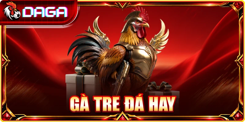 Gà Tre Đá Hay Là Gì? Đặc Điểm Nhận Biết Người Mới Cần Biết gà tre đá hay
