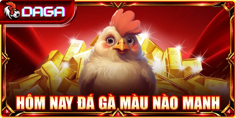 Hôm nay đá gà màu nào mạnh