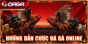 Hướng dẫn cược đá gà online
